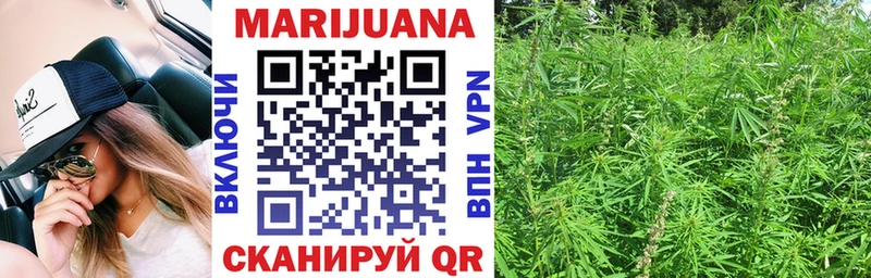 Марихуана Bruce Banner Сурск